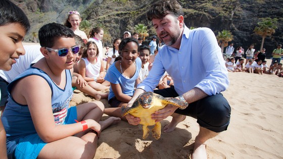 Imagen de El Cabildo y la Fundación Neotrópico devuelven al mar dos tortugas tratadas en el Centro de Recuperación de Fauna Silvestre