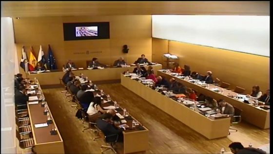 Imagen de Pleno ordinario del Cabildo de Tenerife, 24 de abril de 2015