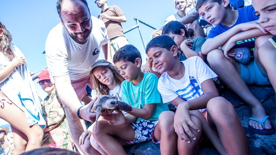 Imagen de El Cabildo y la Fundación Neotrópico devuelven al mar dos tortugas recuperadas en La Tahonilla