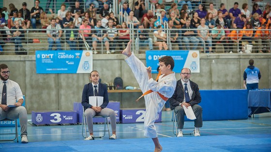 Imagen de  Las finales de taekwondo, natación y voleibol de los XXIX Juegos Cabildo movilizan a más de 750 deportistas