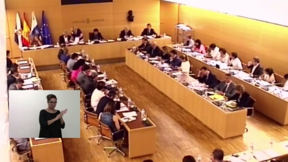 Imagen de Pleno extraordinario del Cabildo, 1 de julio de 2016