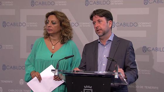 Imagen de El Cabildo promueve la creación de un foro insular de transparencia y buen gobierno