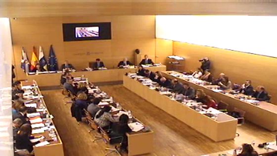 Imagen de Pleno ordinario del Cabildo de Tenerife, 28 de febrero de 2014
