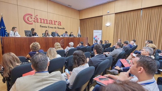 Imagen de Tenerife Licita ha ofertado este año a sus empresas unas 300 oportunidades de negocio internacionales