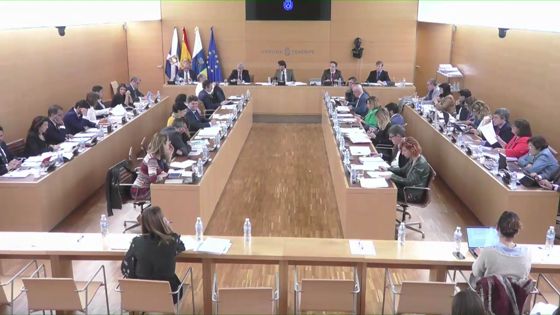 Imagen de Pleno ordinario del Cabildo de Tenerife, 25 de mayo de 2018
