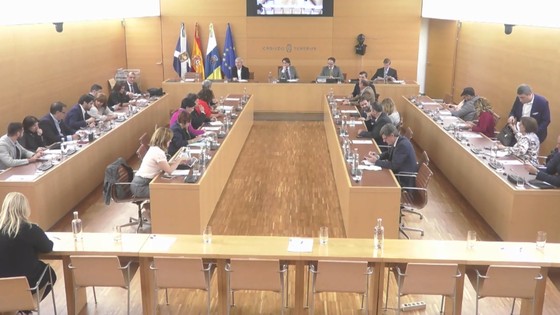 Imagen de Pleno extraordinario del Cabildo de Tenerife, 30 de noviembre de 2018