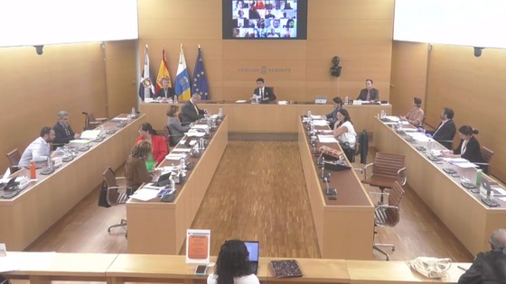 Imagen de Pleno extraordinario del Cabildo de Tenerife, 07 de mayo de 2020