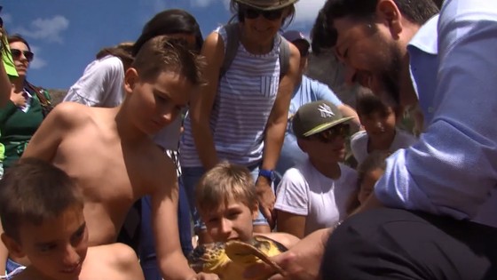 Imagen de El Cabildo y la Fundación Neotrópico devuelven dos ejemplares de tortugas al mar