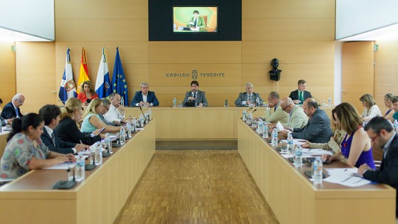Imagen de Pleno extraordinario del Cabildo de Tenerife, 15 de mayo de 2015