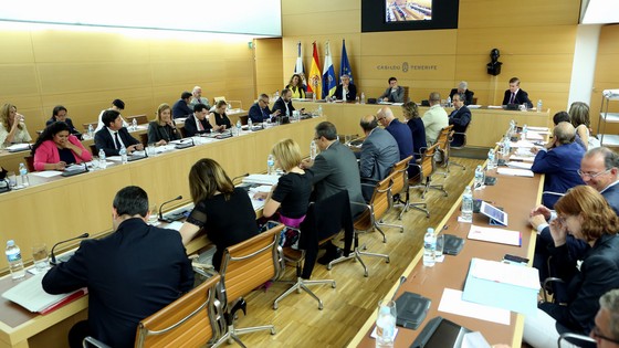 Imagen de Pleno ordinario del Cabildo de Tenerife, 29 de mayo de 2014