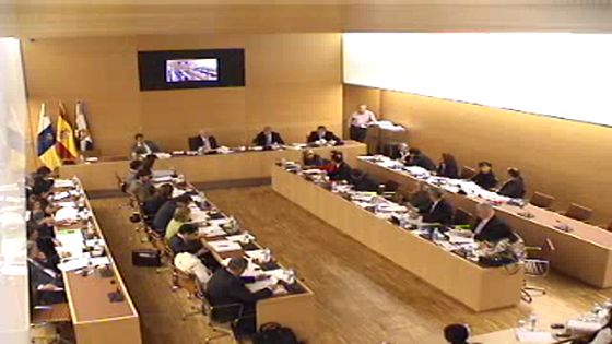 Imagen de Pleno ordinario del Cabildo de Tenerife, 26 de febrero de 2010