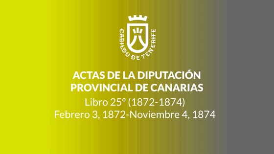 Imagen de Actas de la Diputación Provincial de Canarias - Libro 025 1872-1874