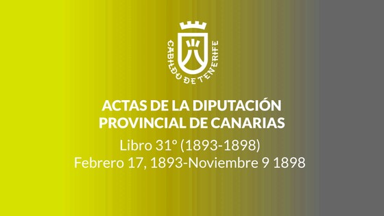 Imagen de Actas de la Diputación Provincial de Canarias - Libro 031 1893-1898