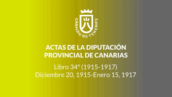 Imagen de Actas de la Diputación Provincial de Canarias - Libro 034 1915-1917