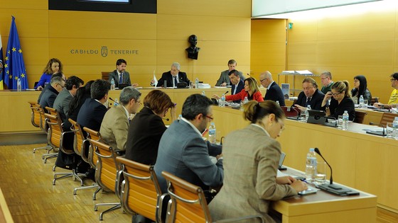 Imagen de Pleno ordinario del Cabildo de Tenerife, 26 de febrero de 2016
