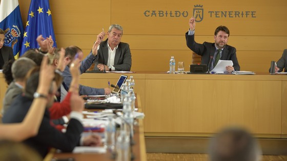 Imagen de Pleno ordinario del Cabildo de Tenerife, 28 de marzo de 2016