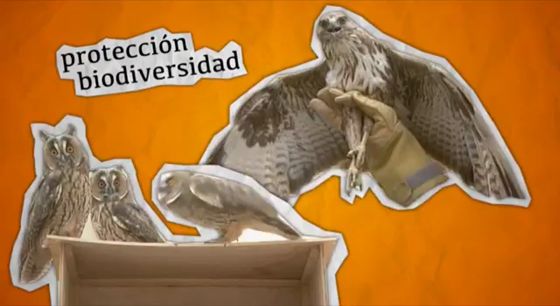 Imagen de Vídeo promocional. Centro de Recuperación de Fauna La Tahonilla