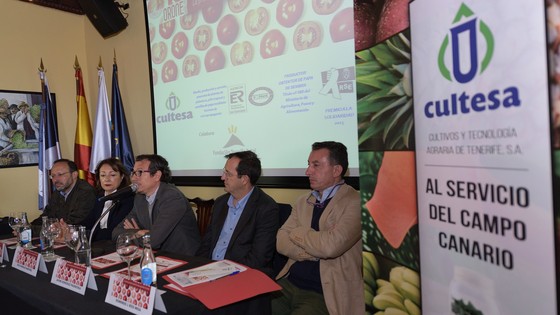 Imagen de El Cabildo organiza una jornada de transferencia tecnológica sobre el tomate tradicional canario ‘Orone’