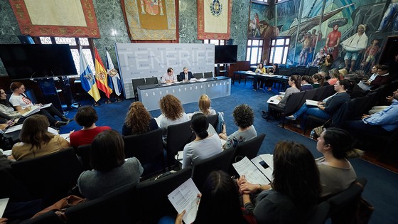 Imagen de El Cabildo refuerza el Consejo Insular de la Vivienda con los municipios de Tenerife