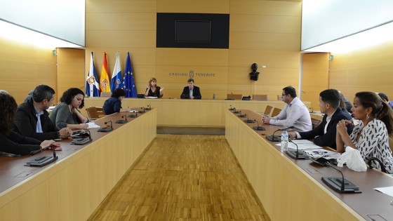 Imagen de El Cabildo delegará en los ayuntamientos el permiso de obra menor en edificaciones colindantes a vías insulares