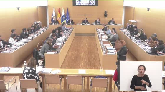 Imagen de Pleno ordinario del Cabildo de Tenerife, 29 de marzo de 2019