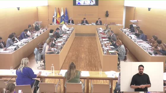 Imagen de Pleno extraordinario del Cabildo de Tenerife, 30 de abril de 2019