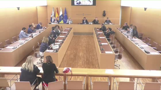 Imagen de Pleno extraordinario del Cabildo de Tenerife, 24 de mayo de 2019