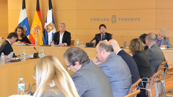 Imagen de Pleno ordinario del Cabildo de Tenerife, 30 de enero de 2015