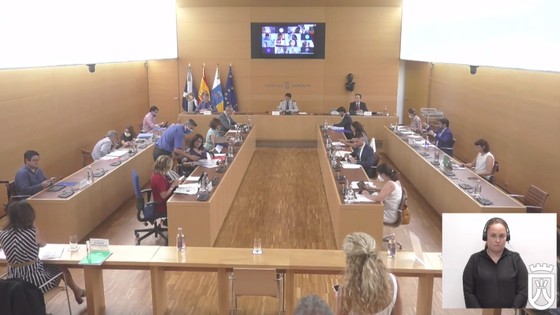 Imagen de Pleno ordinario del Cabildo de Tenerife, 31 de julio de 2020