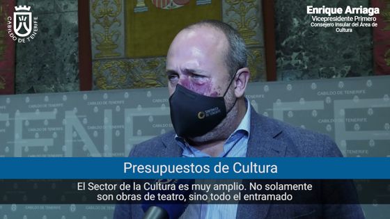 Imagen de El Cabildo destina 29,8 millones de euros para ejecutar su política cultural
