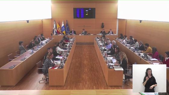 Imagen de Pleno extraordinario del Cabildo de Tenerife, 16 de diciembre de 2022